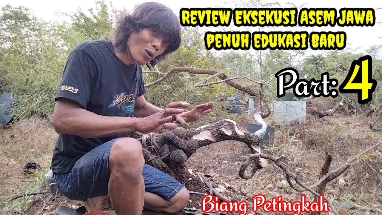 REVIEW TRAINING ASEM JAWA PENUH EDUKASI BARU