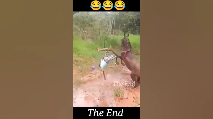 The End 🤣🤣#shorts #viral #funny #fails #humor #theend #funnyshorts