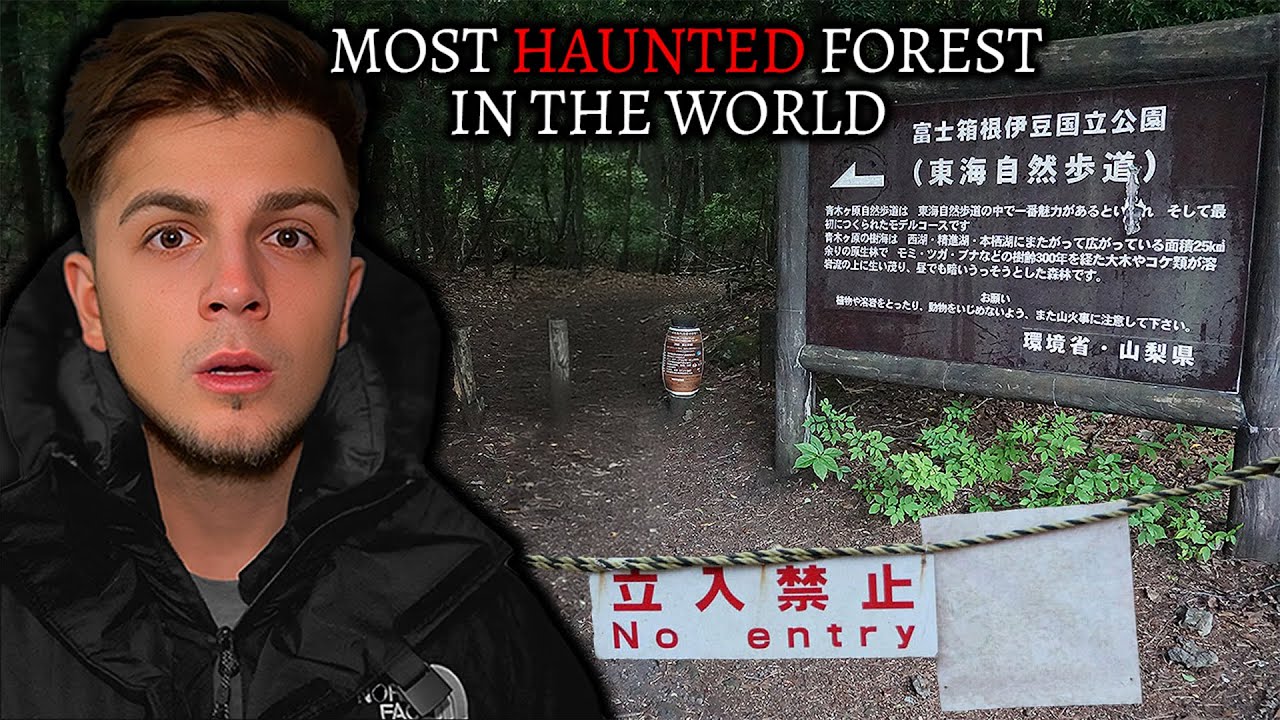 (TERRIFYING) Japan's Most Haunted Forest | Aokigahara 青木ヶ原 - Demon Caught On Camera