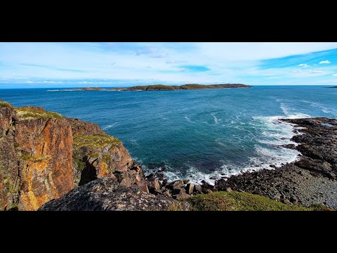 Подводный мир Баренцева Моря.  Underwater World of Barents Sea.