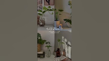 تلاوة هادئة تريح الاعصاب 😴🎧 القارئ شريف مصطفى _ سورة النور 🤍.