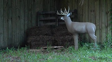 Carbon Express Launchpad Lighted Nocks