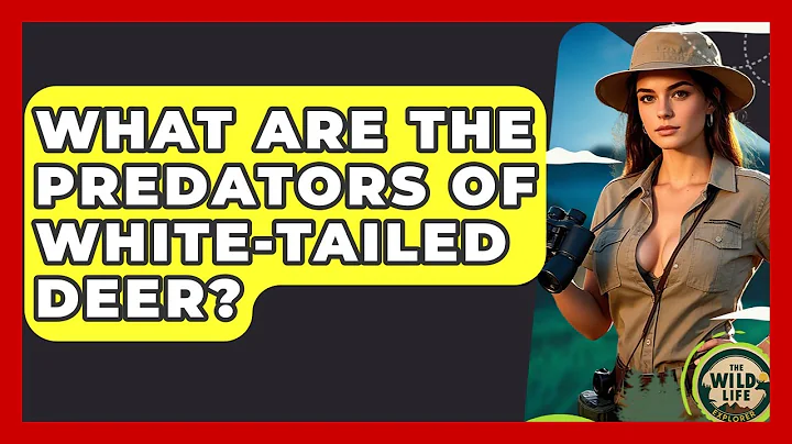 What Are The Predators Of White-tailed Deer? - The Wild Life Explorer