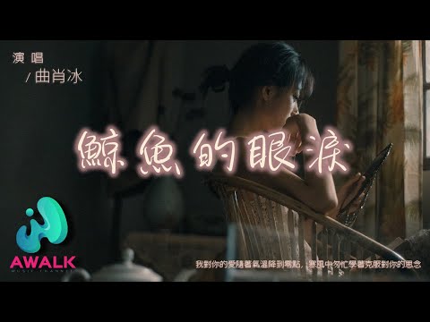 曲肖冰 - 鯨魚的眼淚『我對你的愛隨著氣溫降到零點，寒風中匆忙學著克服對你的思念。』【動態歌詞 | Pinyin Lyrics】【五月新歌】【AWALK MUSIC】