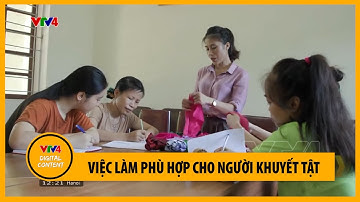 Việc làm phù hợp cho người khuyết tật | VTV4