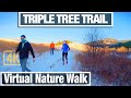 Triple Tree Trail Virtual Walk - Virtual Walking Trails and Treadmill Walking Scenery - Montana 4K