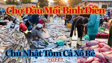 Chợ Đầu Mối Bình Điền | Chủ Nhật Tôm Cá Xổ Rẻ | 2024