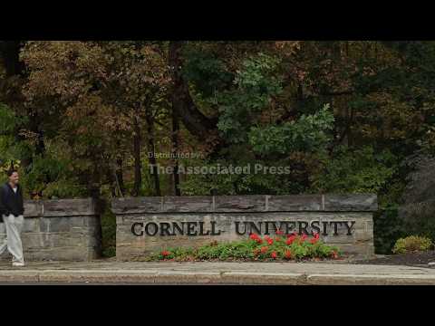 Title IX Attorney calls for transparency and resources in reopened Cornell investigation