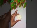 #creativeclayideas #viralvideo #ceramicart #shortvideo #artwork clay #superclay #trendingvideo #