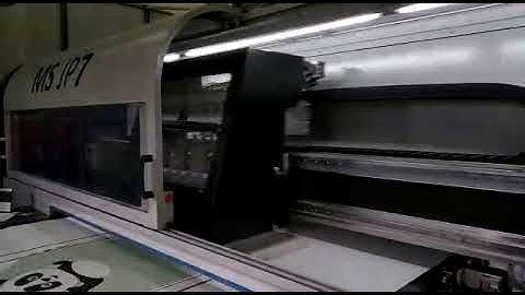 MS JP7 16 180 Cm, 2018 (Wotol ref 2128931-1-AW)