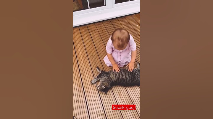 MIŁY KOTEK🐱😁