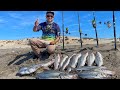 PESCA de RÓBALOS de ORILLA con GOMAS y MINNOW !! Primera vez en esta playa !!