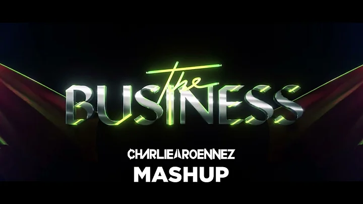 Tiesto vs David Novacek - The business (Charlie Ro...