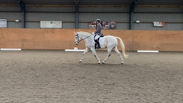 Novice 1 (2024) British Dressage Test