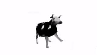 Наоборот Корова Танцует Под Польскую Музыку