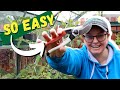 How to sharpen garden tools | a beginner's guide