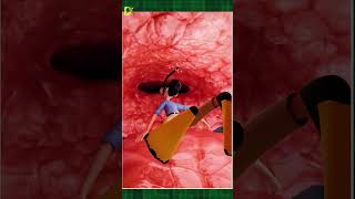Swallowed by a Whale: Could You Survive? #shorts #tamil #tamilvoiceover #twinfacts