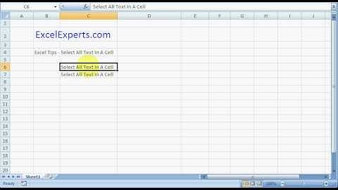 ExcelExperts.com - Excel Tips - Select All Text In A Cell