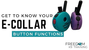 Mini Educator Button Functions - E-Collar Manual How To | Freedom K9 Training