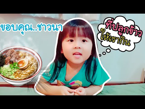 ข้าวทุกจาน... เราจะกินไม่เหลือ แม้แต่เม็ดเดียว | กะทิกับน้ำว้า