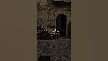 تلاوات ياسر الدوسري 😴🌿 #قرآن #اكسبلور #لايك #يارب #رمضان