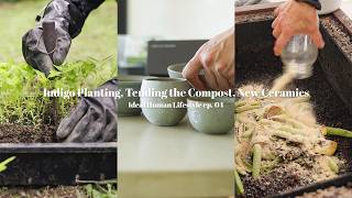 藍の植え付け、コンポストのメンテナンス、新しい器 // 人類の理想の暮らし Ep. 04