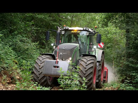 Vidéo: Chemin De Campagne De Cailloux