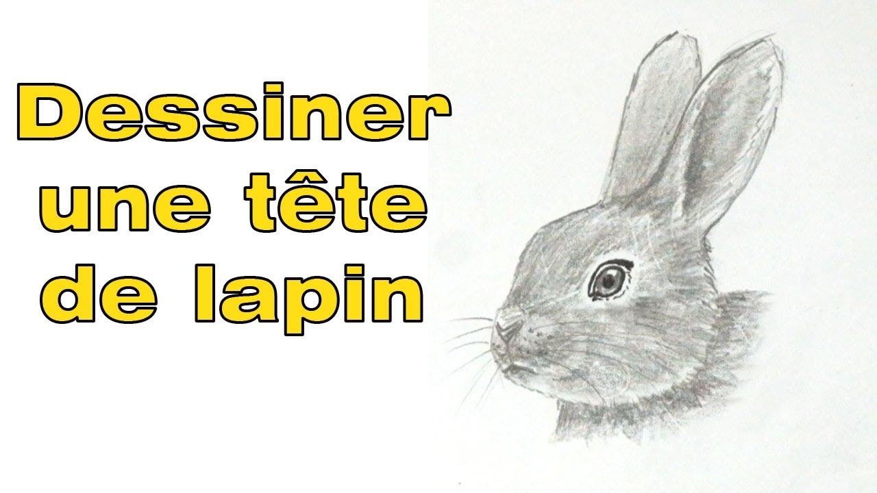 comment dessiner une tete de lapin facilement - YouTube