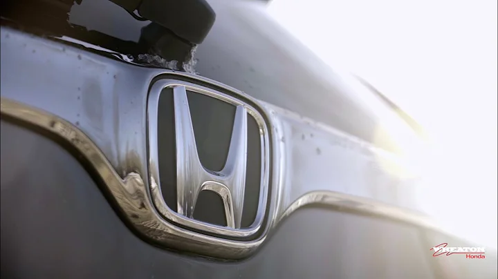 A Look Back at 2019 | Year in Review