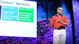 Pavan Sukhdev: Put a value on nature!