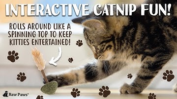 Catnip Lollipop that encourages play and promotes oral and digestive health!