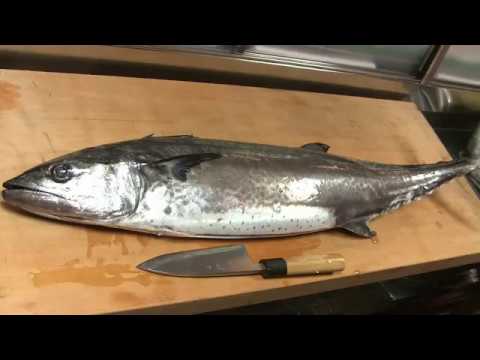 鰆のさばき方 握りと刺身の作り方 寿司屋の仕込み How To Fillet A Japanese Spanish Mackerel And Make Sushi Youtube