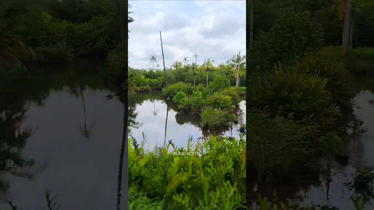 കാഴ്ചകൾ......