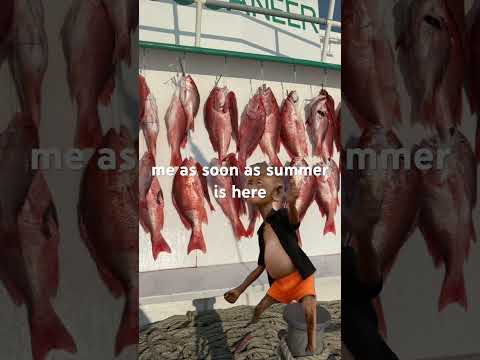 #fishing #fishinglife #snapper