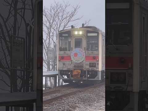北秩父別駅に入線する『ありがとう留萌本線』ヘッドマーク取り付け列車