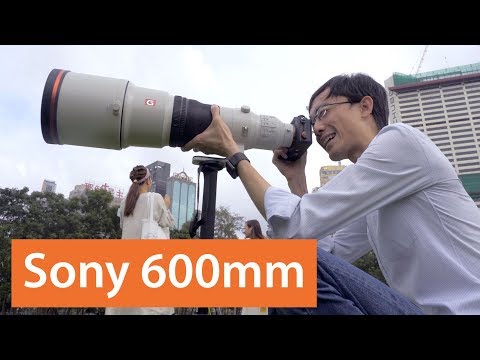 Sony's World Domination is Completed: 600mm ƒ/4 GM and 200-600mm ƒ/5.6-6.3 G - First Lok