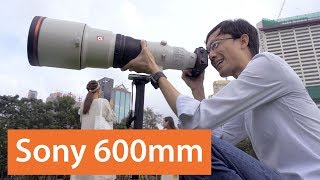 Sonys World Domination is Completed: 600mm ƒ/4 GM and 200-600mm ƒ/5.6-6.3 G - First Lok