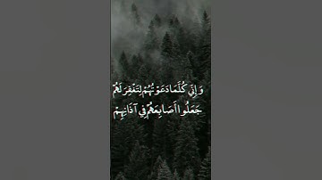 ماهر المعيقلي | قال ربي إني دعوت قومي ليلا ونهارا | تلاوة جميلة سورة نوح
