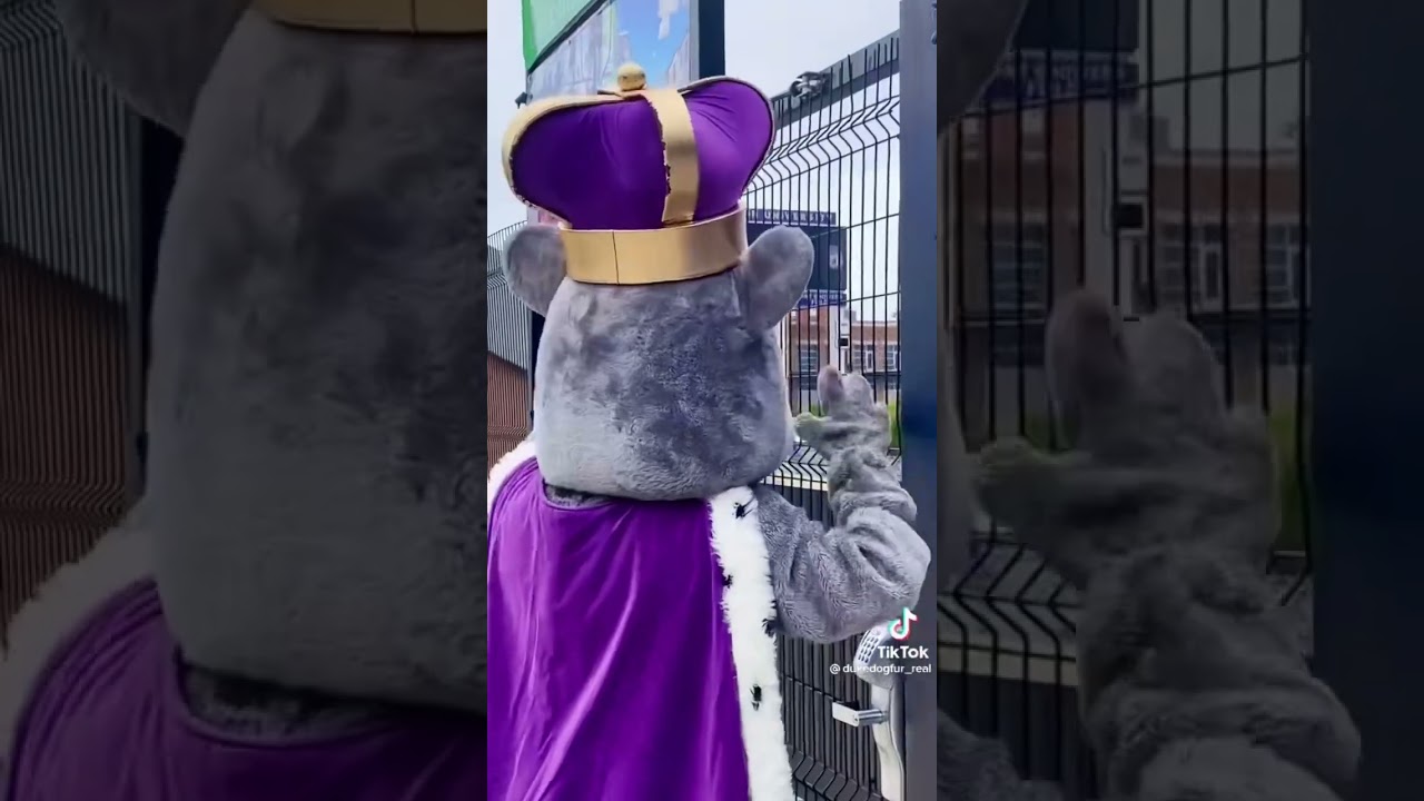 5 Days Till Homecoming Game! 🏈