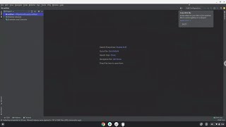 How to install Jetbrains PhpStorm 2021 on a Chromebook