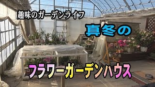趣味のガーデンライフ　真冬のフラワーガーデンハウス