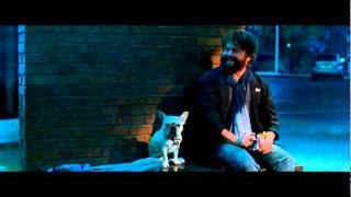 Due Date - Official Trailer [HD] Wealth