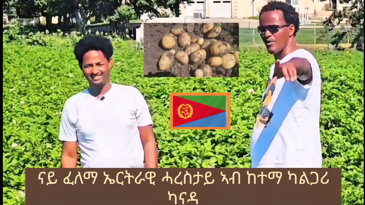 ናይ ፈለማ ሁርኩት  ኤርትራዊ ሓረስታይ ኣብ ከተማ  ካልጋሪ ካናዳ ::ብጻይ ስምረት በዚ ዝስዕብ ቴለፎን 4038884046 ክትረኽብዎ ትኽእሉ ኢኹም 