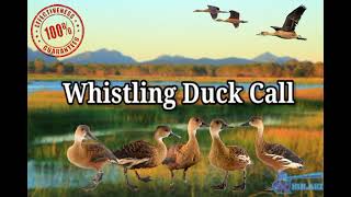 Whistling Duck Call  100% Effective