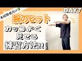 腕のヒット解説とカッコよく見せるコツ / 大人から始めるポップダンス超入門講座day7