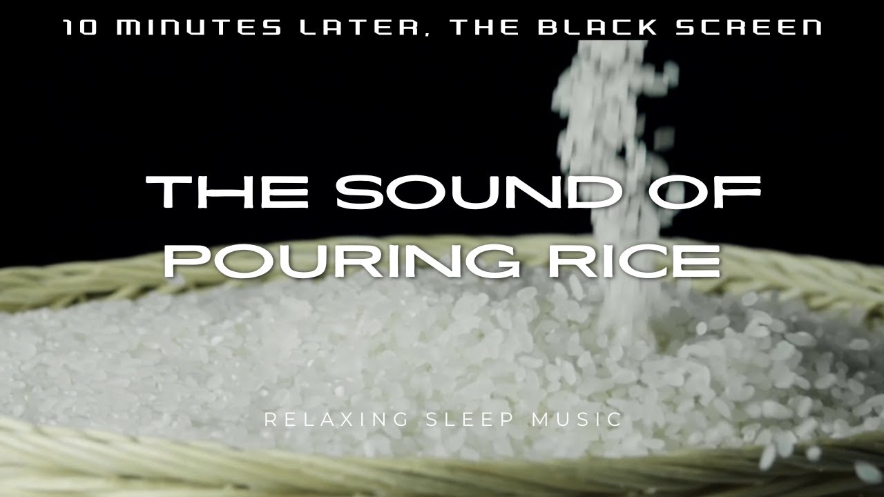쌀 붓는 소리 10시간 10분 후 검은화면(The sound of pouring rice 10 hours and 10 ...