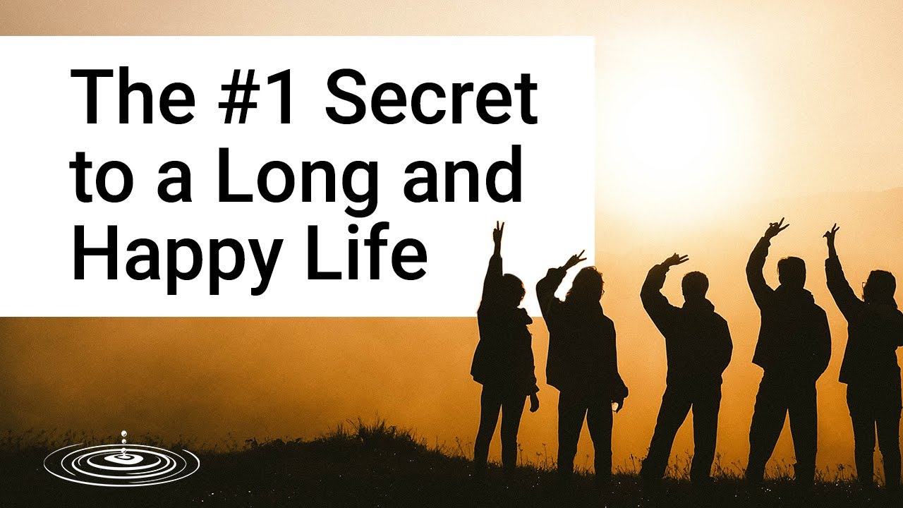 The 1 Secret to a Long & Healthy Life Bill Harris Mind Power YouTube