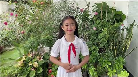 LỄ KHAI GIẢNG_NĂM HỌC 2021 - 2022_TRƯỜNG TH NGÔ QUYỀN_QUẬN NINH KIỀU- TP. CẦN THƠ