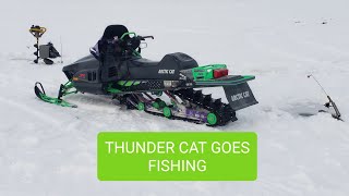 Thunder Cat Goes Wallye Hunting