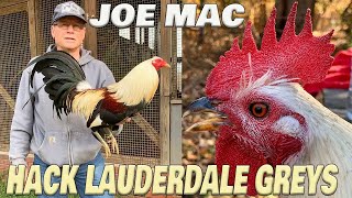 Joe Mac Farm Grit & Steel Beautiful Birds